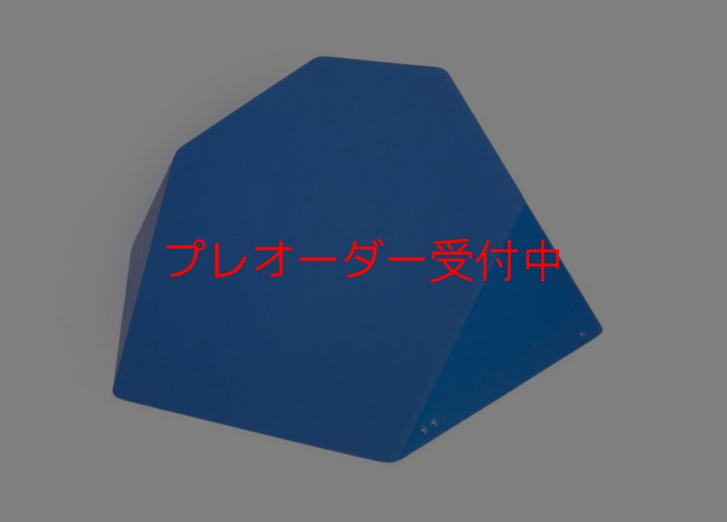 画像1: SQ　FRUTTI DI BOSCO PRO 11/プレオーダー (1)