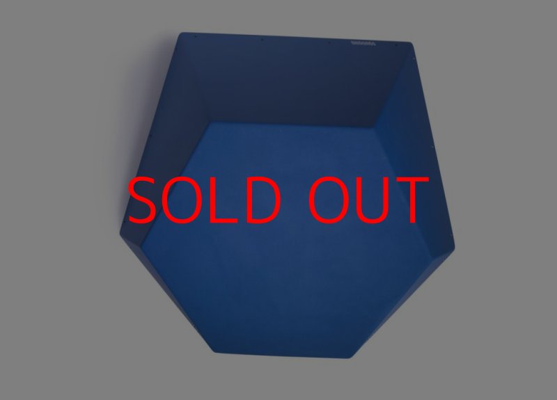 画像1: SQ FRUTTI DI BOSCO PRO 09 (1)