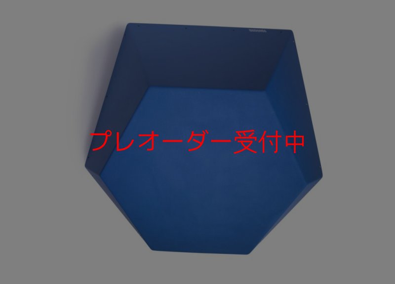 画像1: SQ　FRUTTI DI BOSCO PRO 09/プレオーダー (1)