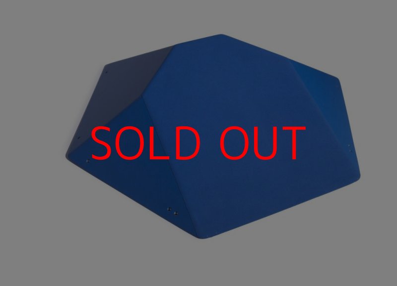 画像1: SQ　FRUTTI DI BOSCO PRO 08 (1)