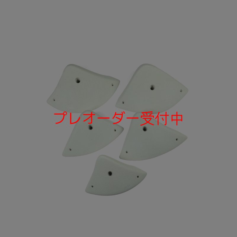 画像5: CCE　Alpina 2 - XXL Jugs/プレオーダー (5)