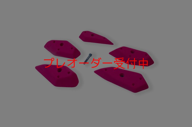 画像2: CCE　Scoops 2 - Ledges Two/プレオーダー (2)