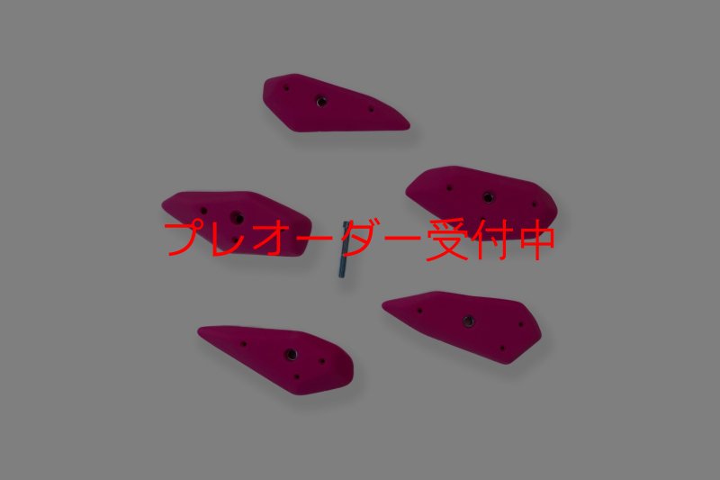 画像1: CCE　Scoops 2 - Ledges Two/プレオーダー (1)