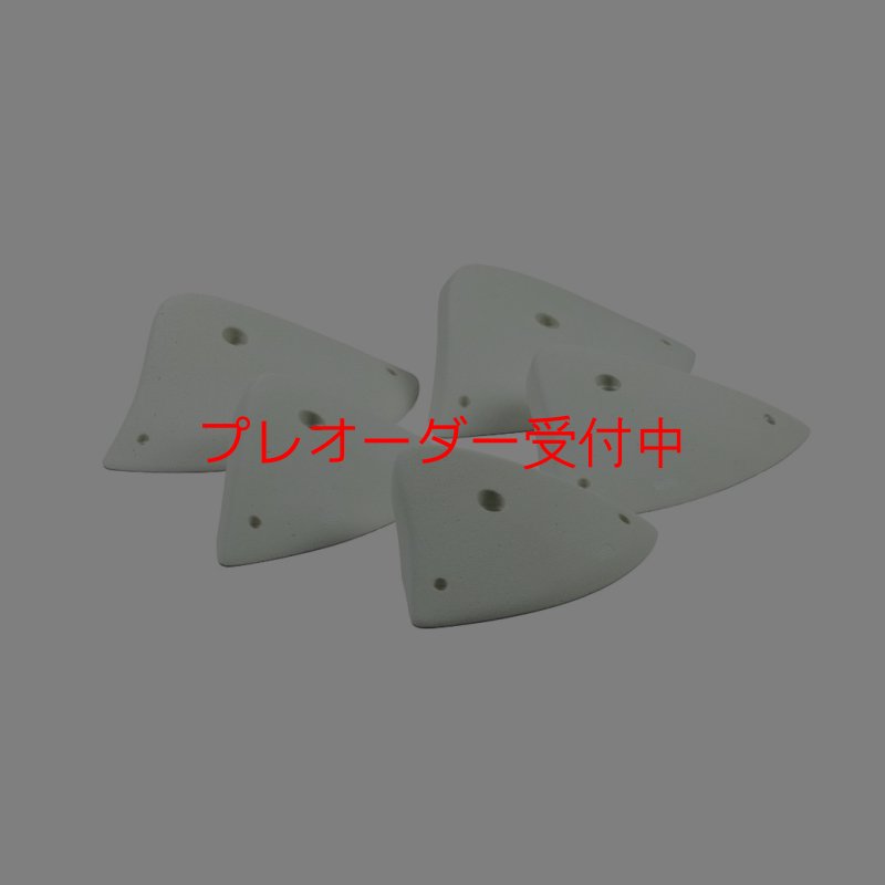 画像1: CCE　Alpina 2 - XXL Jugs/プレオーダー (1)