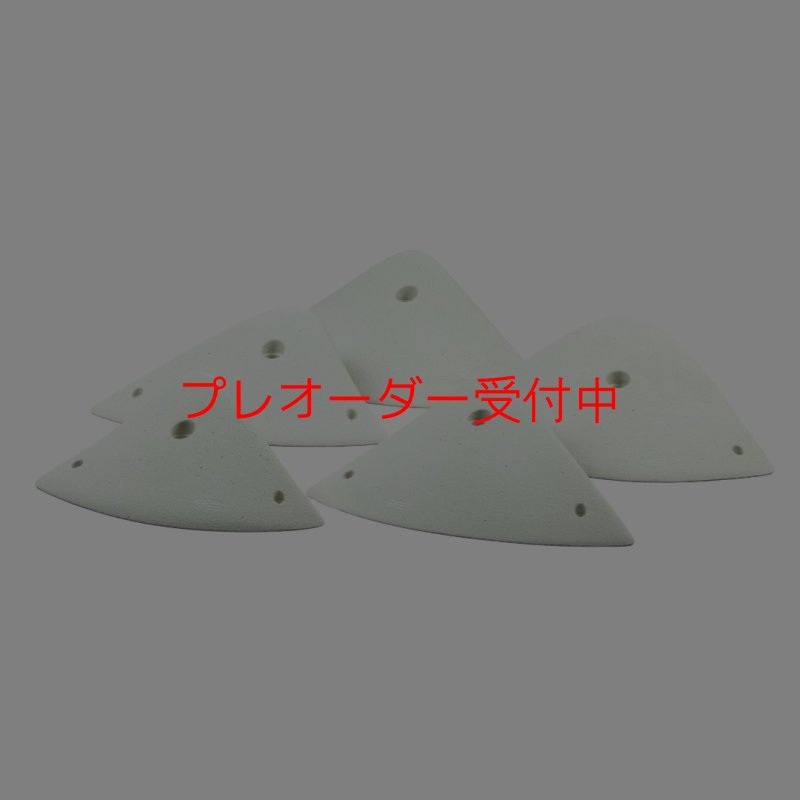 画像2: CCE　Alpina 2 - XXL Jugs/プレオーダー (2)