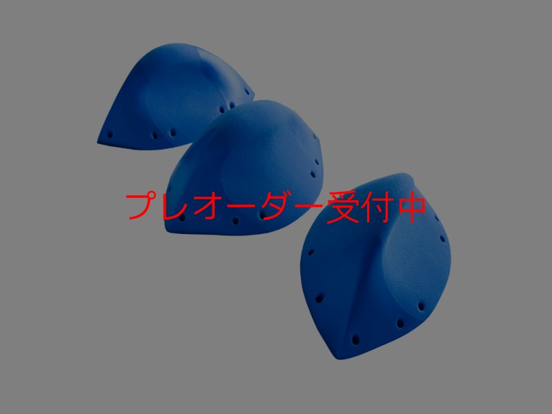 画像1: GR メリディアン XL2/プレオーダー (1)