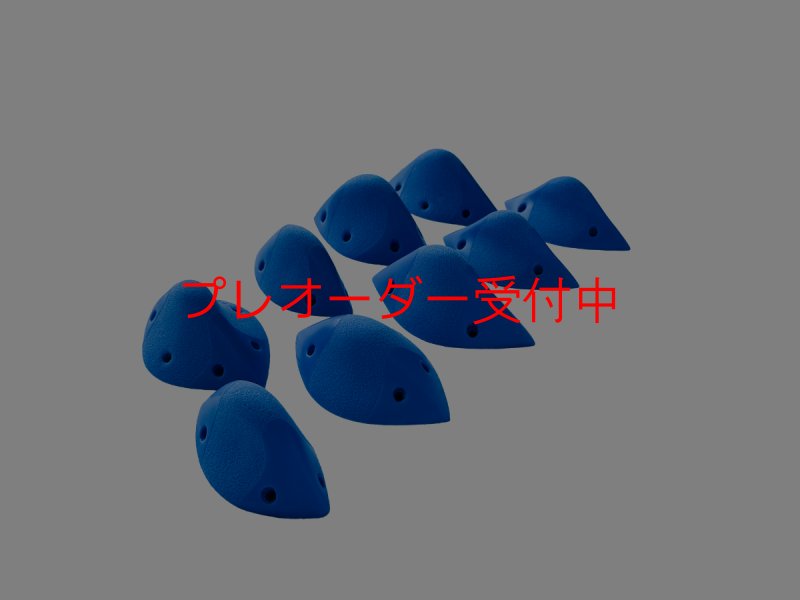 画像1: GR メリディアン S/プレオーダー (1)
