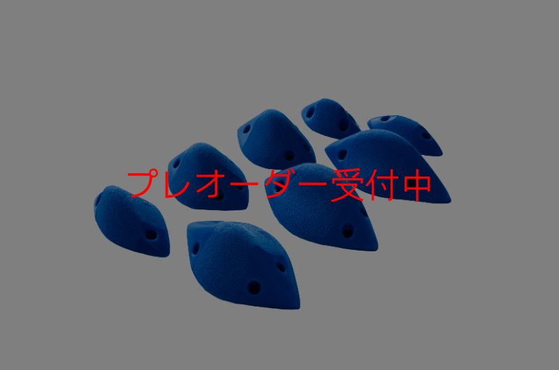 画像1: GR メリディアン XS/プレオーダー (1)