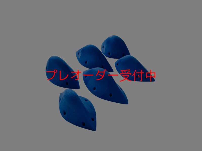 画像1: GR メリディアン M/プレオーダー (1)