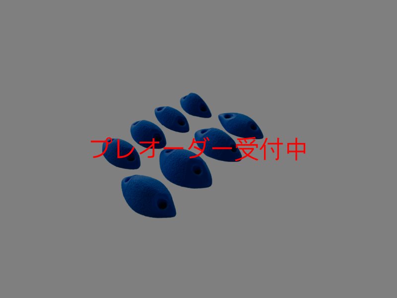 画像1: GR メリディアン Feet/プレオーダー (1)
