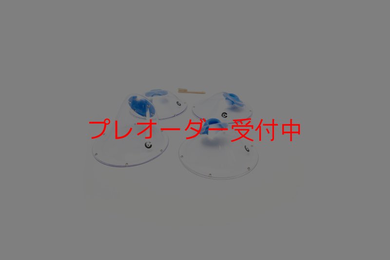 画像4: CT Pocket Camembert S4/プレオーダー (4)