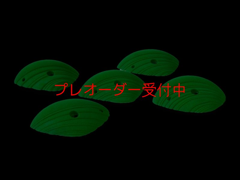 画像1: CCE　French Connection 6 - Pauline -  Roof Jugs/プレオーダー (1)