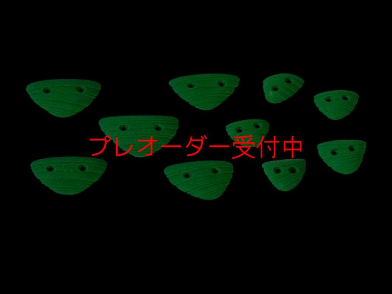 画像1: CCE　French Connection 16 - Florence & Anouk -  Screwons/プレオーダー (1)