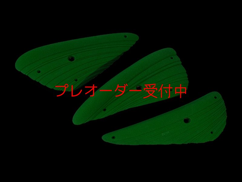 画像1: CCE　French Connection 2 - Vivienne -  Triple Ledges/プレオーダー (1)