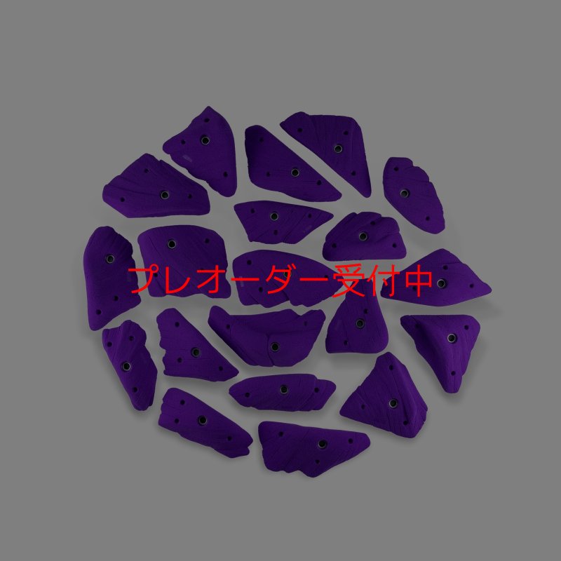 画像1: CCE　Monzos 12 - Edges L/プレオーダー (1)