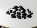 画像3: CCE　Crescents 15 - Screwon Crimps / プレオーダー (3)