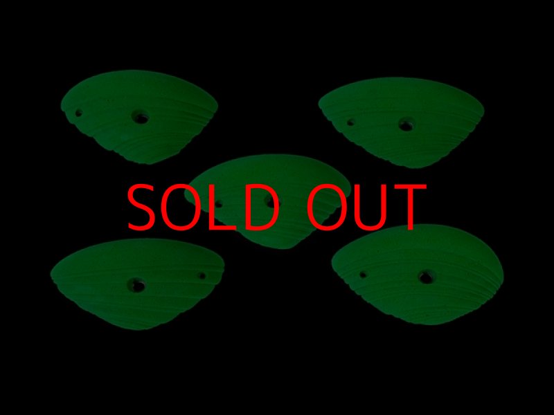 画像5: CCE　French Connection 6 - Pauline -  Roof Jugs (5)