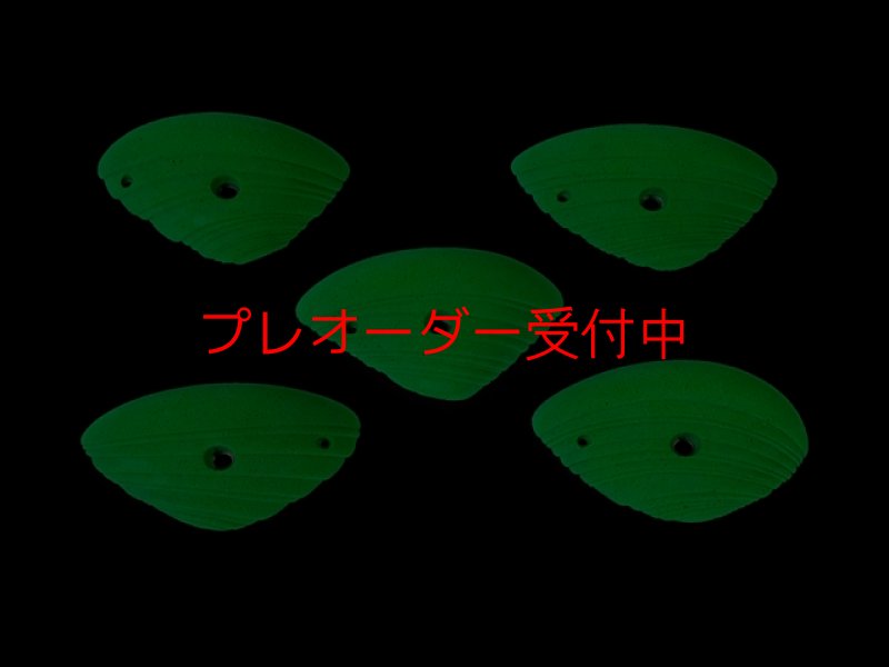 画像5: CCE　French Connection 6 - Pauline -  Roof Jugs/プレオーダー (5)