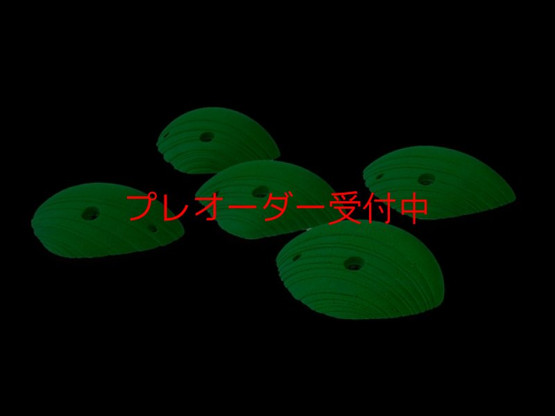 画像2: CCE　French Connection 6 - Pauline -  Roof Jugs/プレオーダー (2)