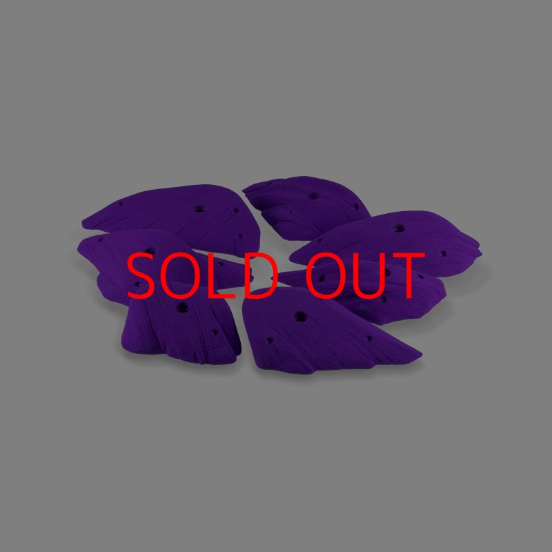 画像5: CCE　Monzos 11 - Edges XL (5)