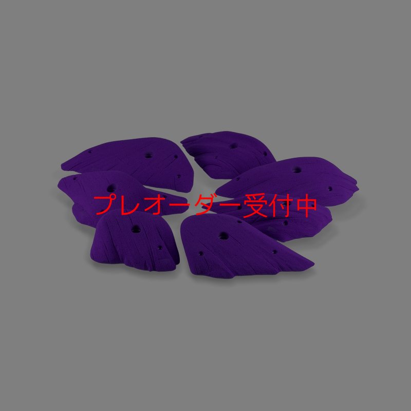 画像5: CCE　Monzos 11 - Edges XL/プレオーダー (5)