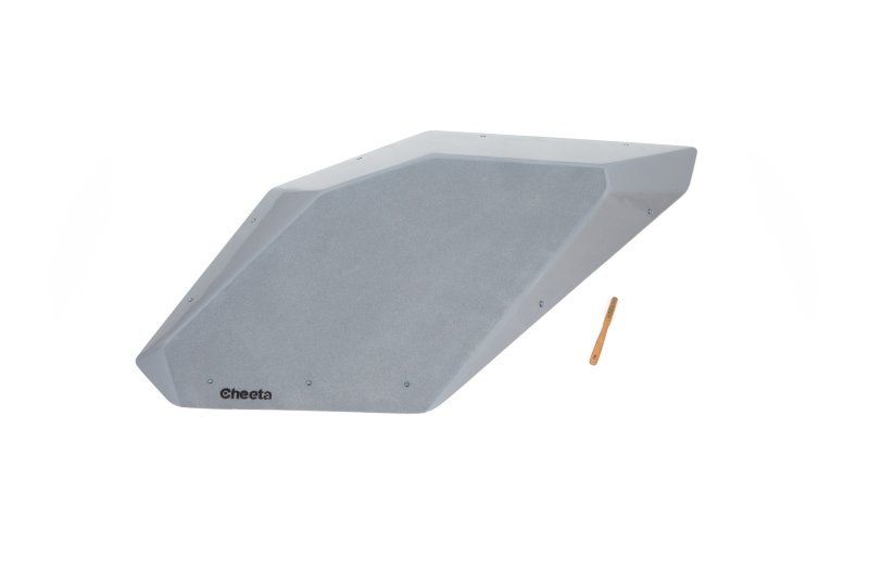 画像1: CT　Flat Silex L1 DT (1)