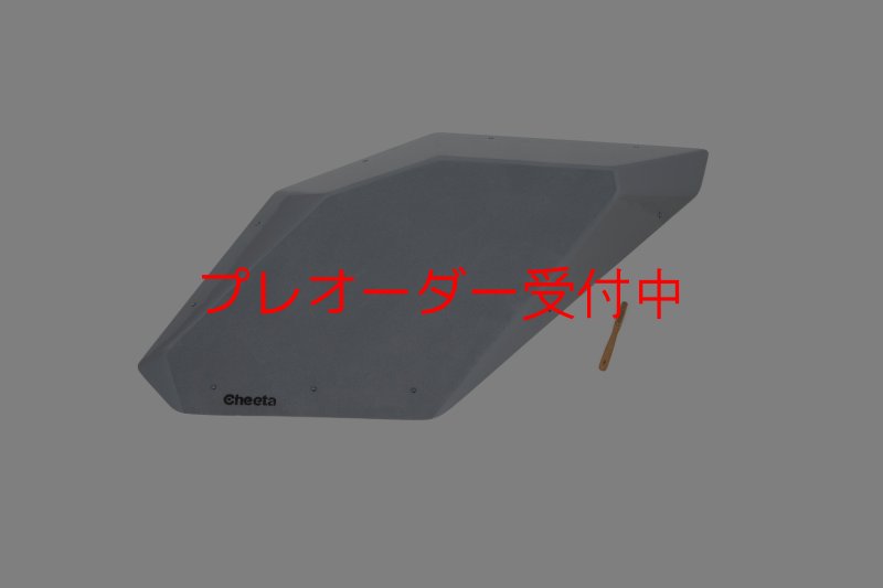 画像1: CT　Flat Silex L1 DT/プレオーダー (1)