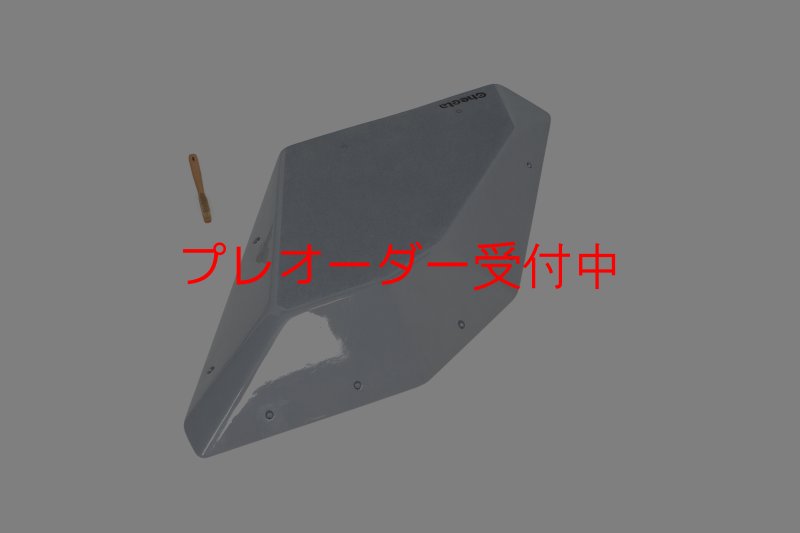 画像1: CT　Flat Silex L2 DT/プレオーダー (1)