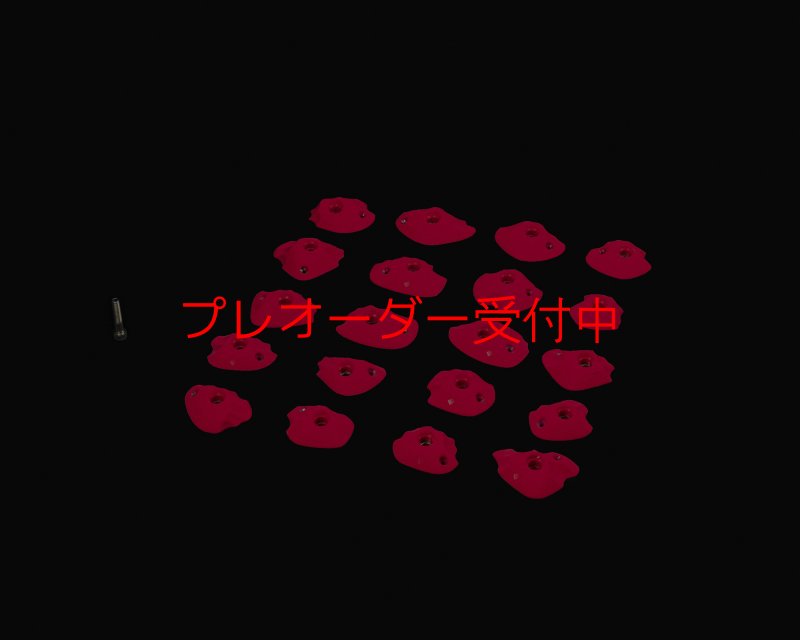 画像1: RIDGES - FOOT 1/プレオーダー (1)