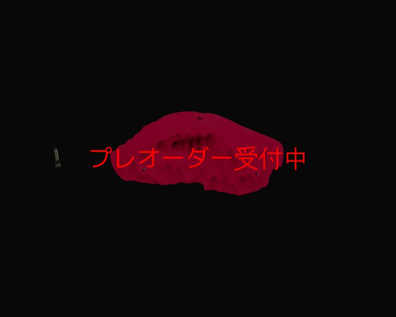 画像1: RIDGES - PINCH BIG 2/プレオーダー (1)