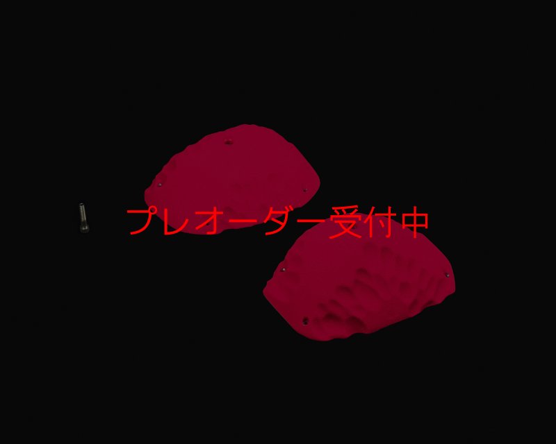 画像1: RIDGES - SLOPERS 2/プレオーダー (1)
