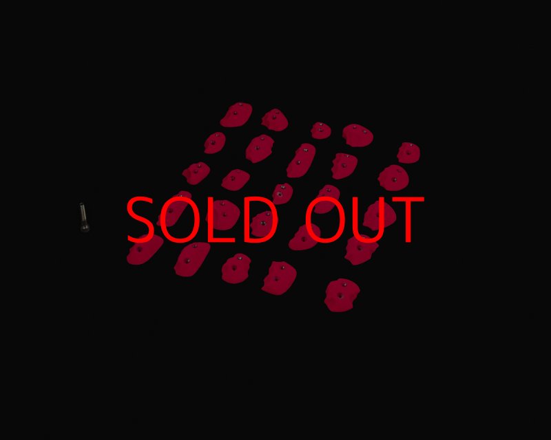 画像3: CP RIDGES - JIBS SCREW-ON (3)