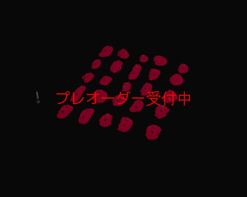 画像3: RIDGES - JIBS SCREW-ON/プレオーダー (3)