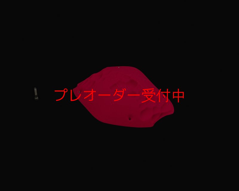 画像1: RIDGES - PLATE BIG 3/プレオーダー (1)