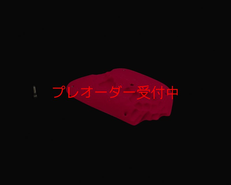 画像1: RIDGES - PLATE BIG 1/プレオーダー (1)