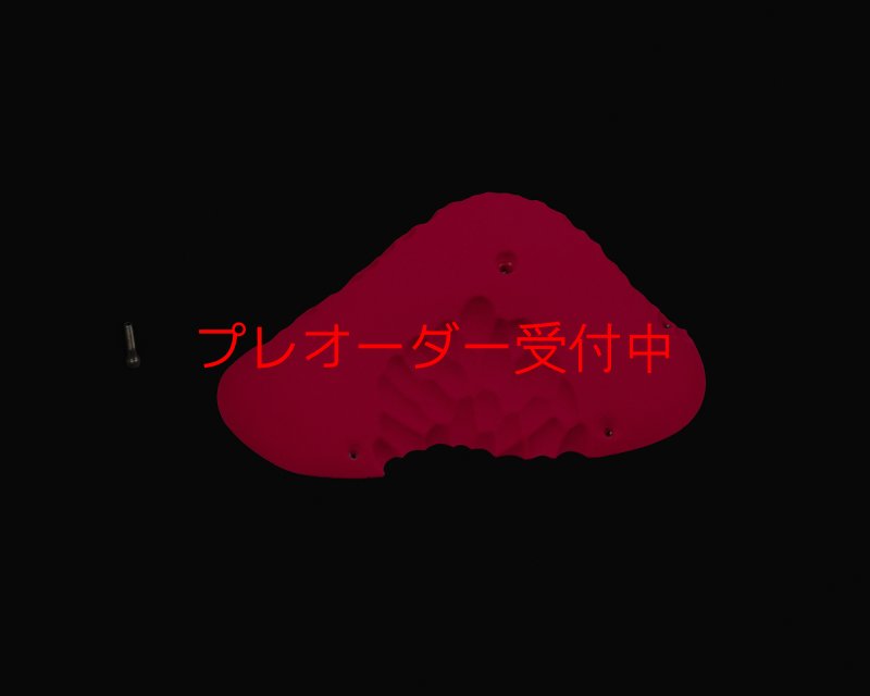 画像1: RIDGES - JUG BIG 2/プレオーダー (1)
