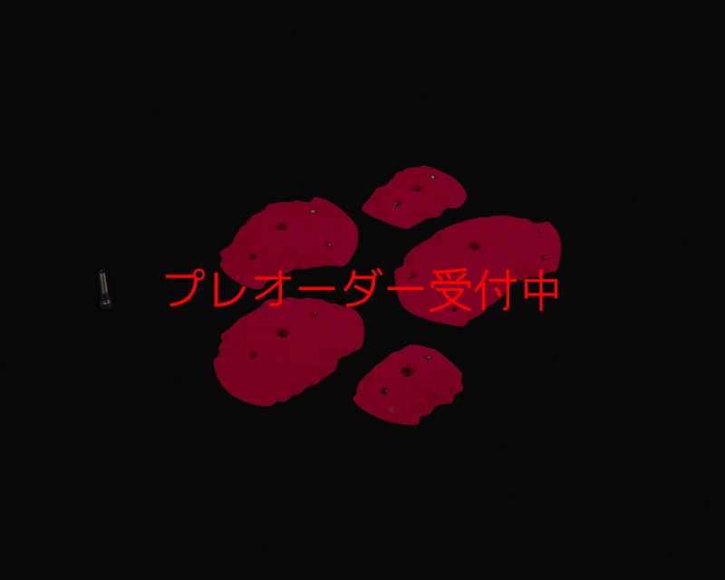 画像3: RIDGES - EDGES FLAT/プレオーダー (3)