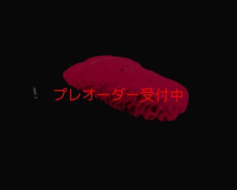 画像3: RIDGES - SLOPER BIG 1/プレオーダー (3)