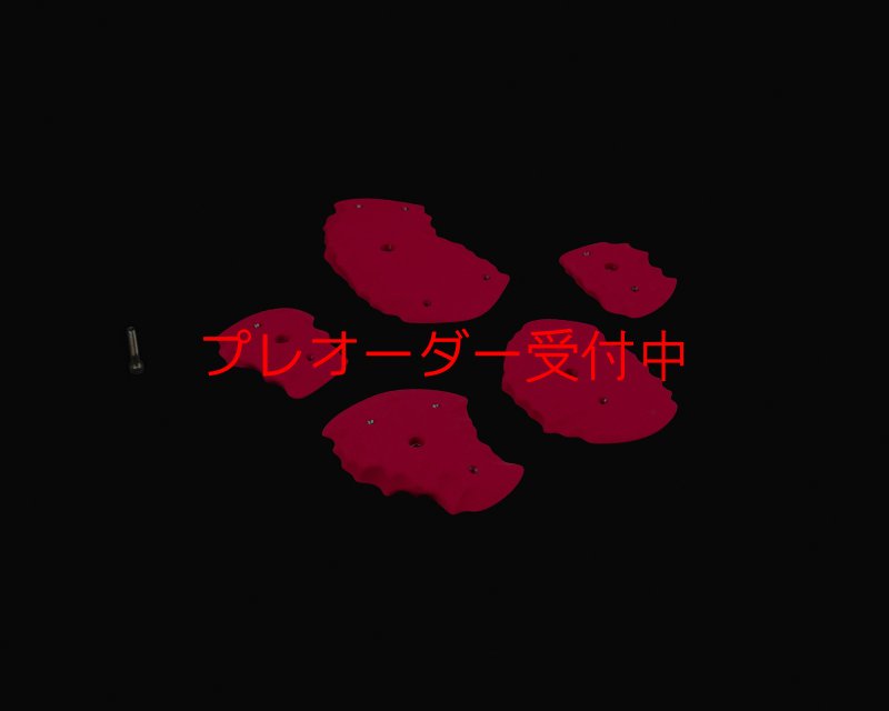 画像2: RIDGES - EDGES FLAT/プレオーダー (2)