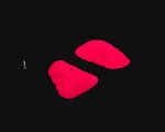 画像1: RIDGES - SLOPERS 4 (1)