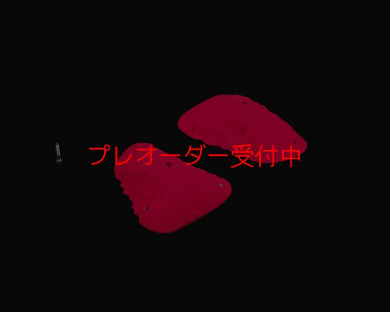 画像1: RIDGES - SLOPERS 4/プレオーダー (1)