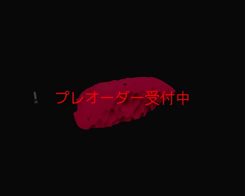 画像2: RIDGES - PINCH BIG 2/プレオーダー (2)