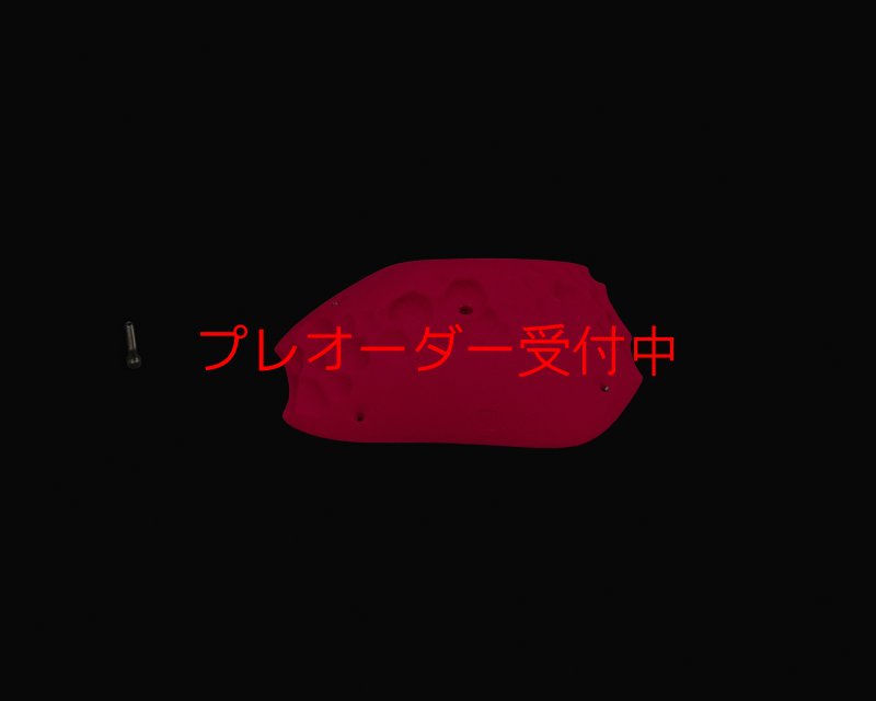 画像2: RIDGES - PLATE BIG 3/プレオーダー (2)