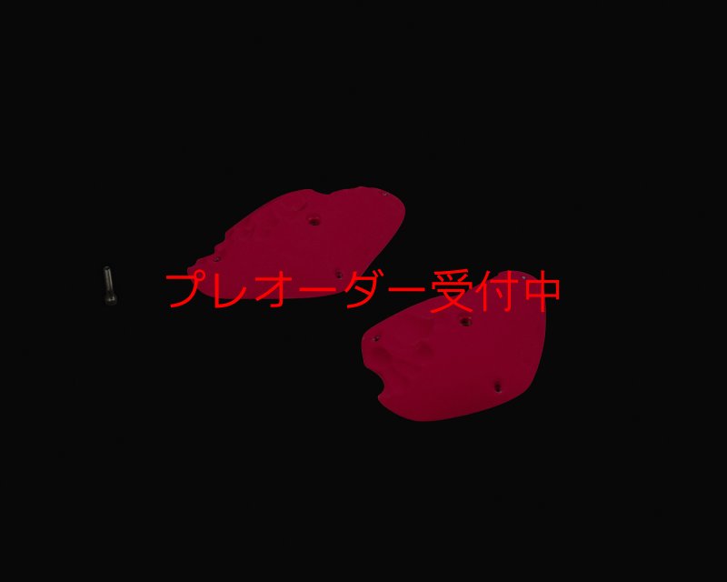 画像3: RIDGES - PLATES 1/プレオーダー (3)