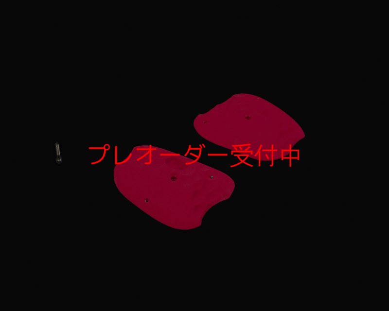 画像2: RIDGES - PLATES 2/プレオーダー (2)