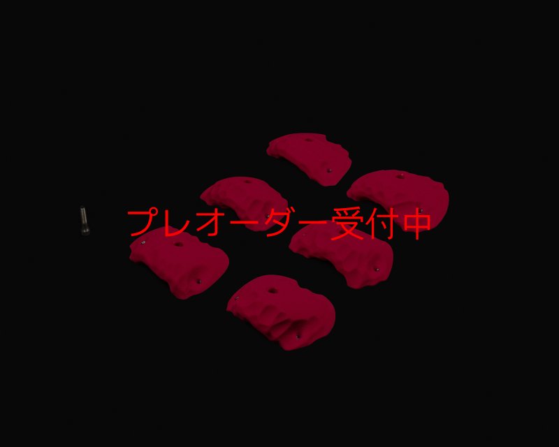 画像2: RIDGES - JUGS 2/プレオーダー (2)