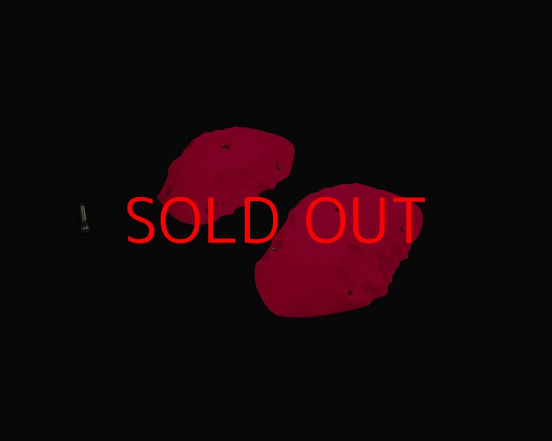 画像3: CP RIDGES - ROOF JUGS 1 (3)