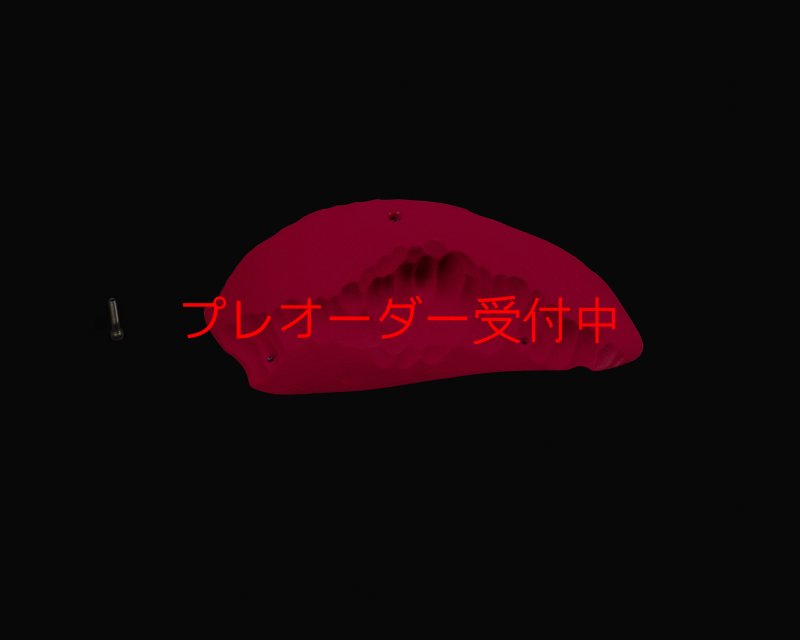 画像1: RIDGES - PINCH BIG 1/プレオーダー (1)
