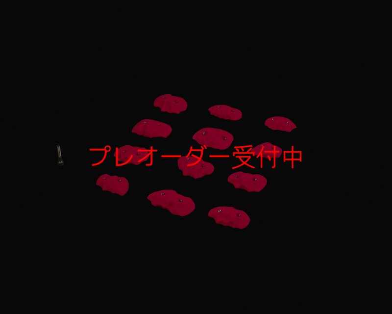 画像2: RIDGES - CRIMPS OPEN SCREW-ON/プレオーダー (2)