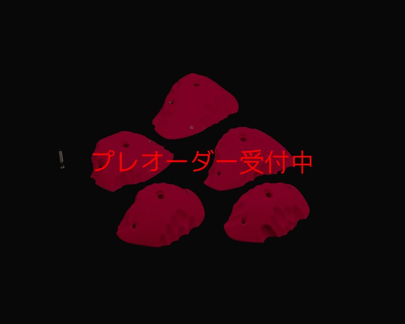 画像3: RIDGES - JUGS 1/プレオーダー (3)